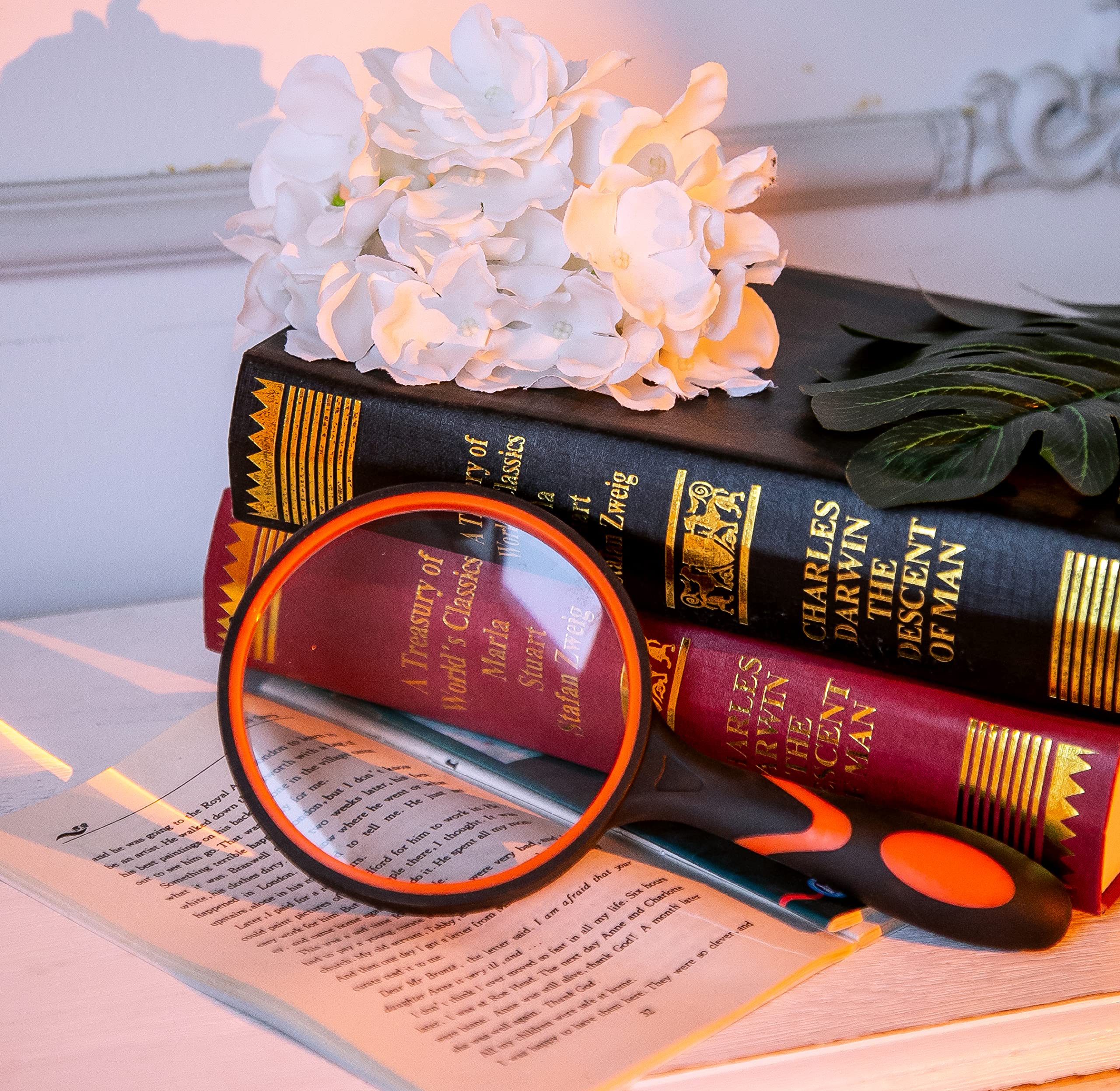 拡大鏡 クリーニングクロス付き 拡大鏡 クリーニングクロス付き